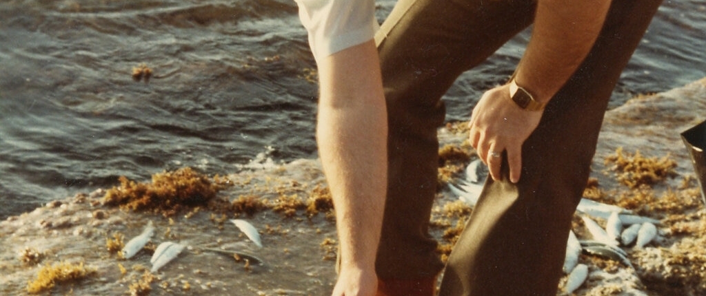 Oprichter Don Stephens in 1981.